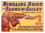 0000-5234-4ringling-bros-circus-performing-elephant-posters